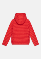 Picture of HUEY UNISEX - Light jacket